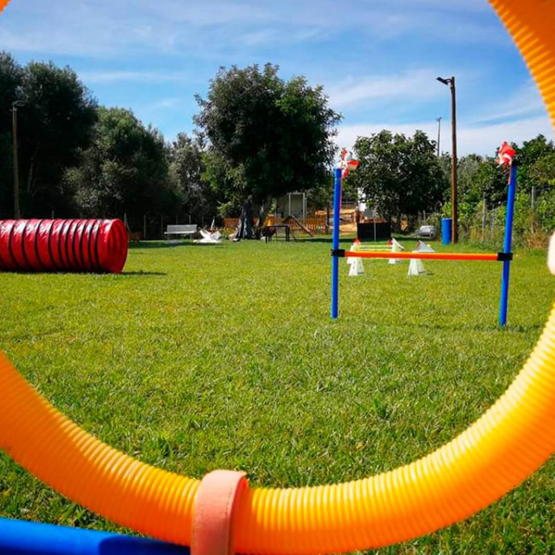CAMPO DE TREINO EXTERIOR