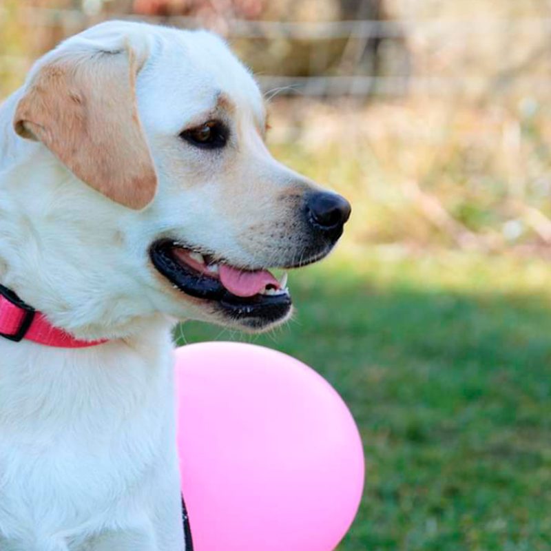 CAMPO DE TREINO EXTERIOR