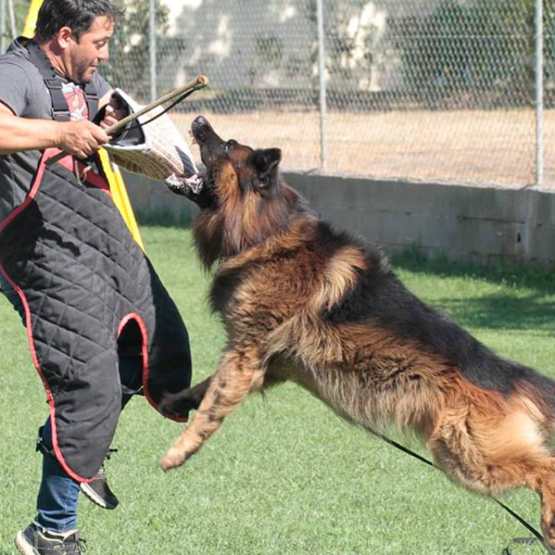 CAMPO DE TREINO EXTERIOR