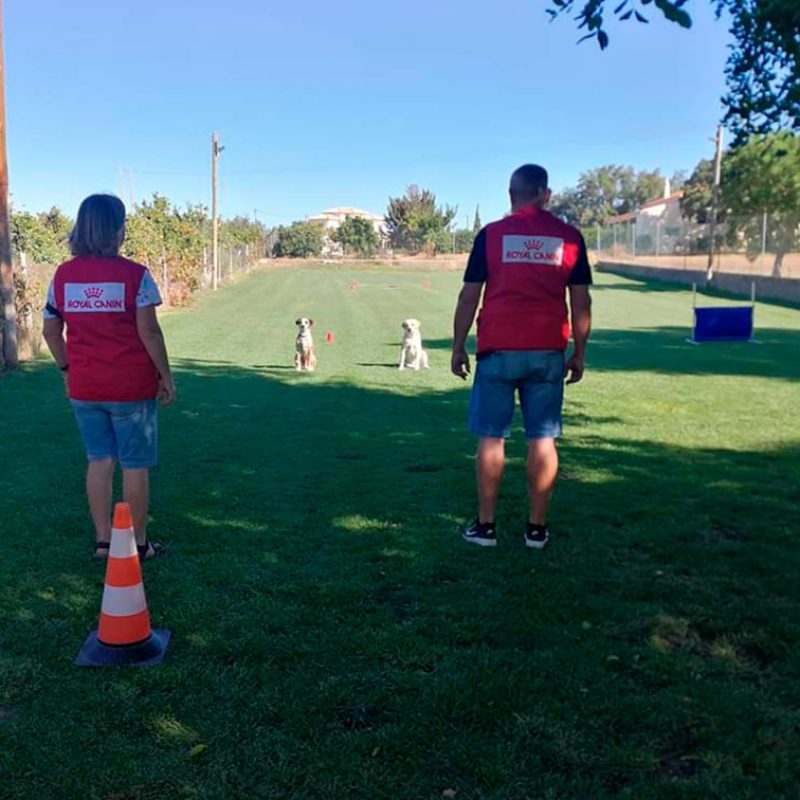 CAMPO DE TREINO EXTERIOR