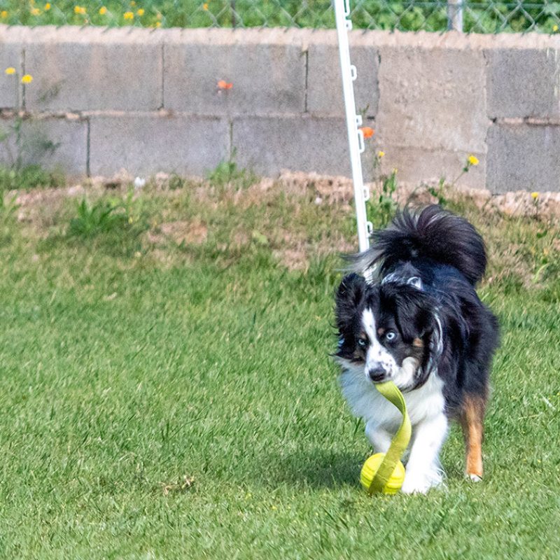 CAMPO DE TREINO EXTERIOR