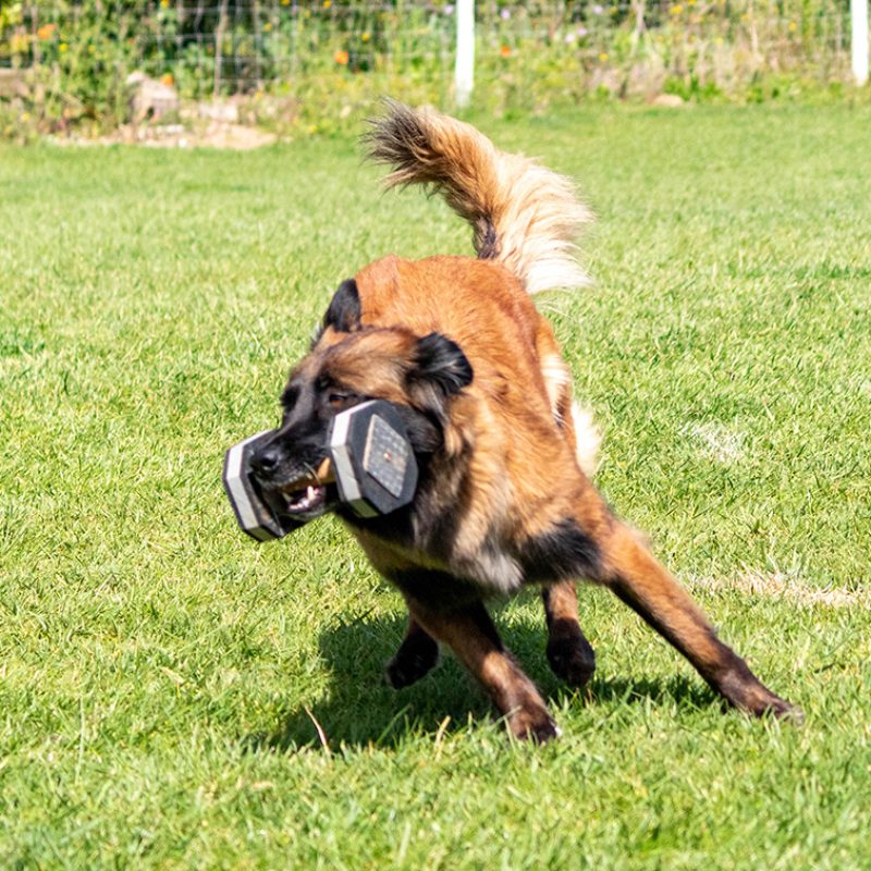 CAMPO DE TREINO EXTERIOR